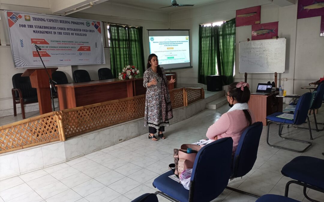 Technical Training & Capacity Building Programme